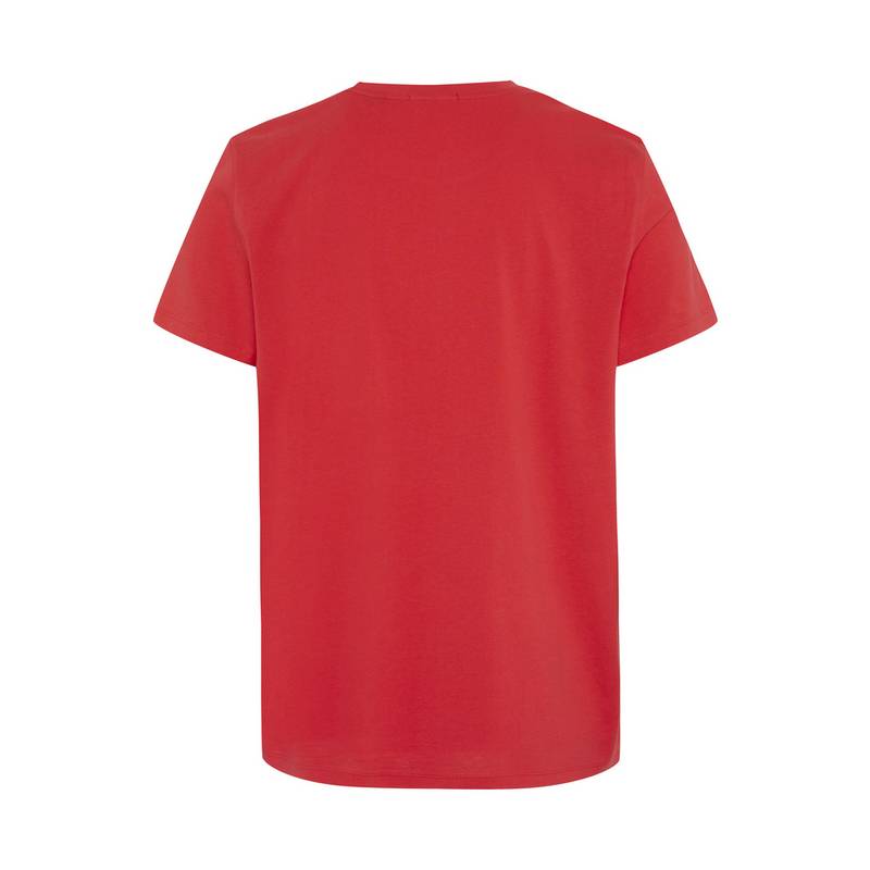 Chiemsee T-Shirt T-Shirt Herren