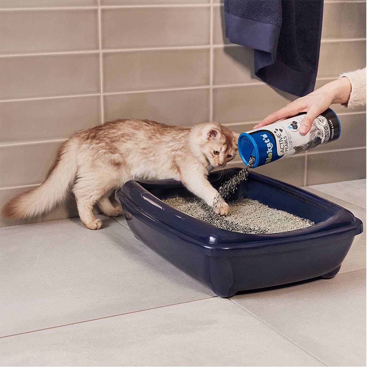 Biokat's Active Pearls 700ml günstig kaufen