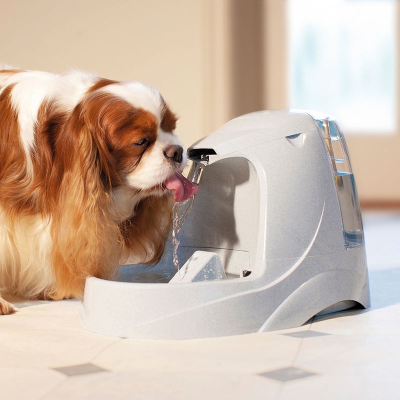 PetSafe Drinkwell Platinum Trinkbrunnen zu TOP-Preisen | bitiba