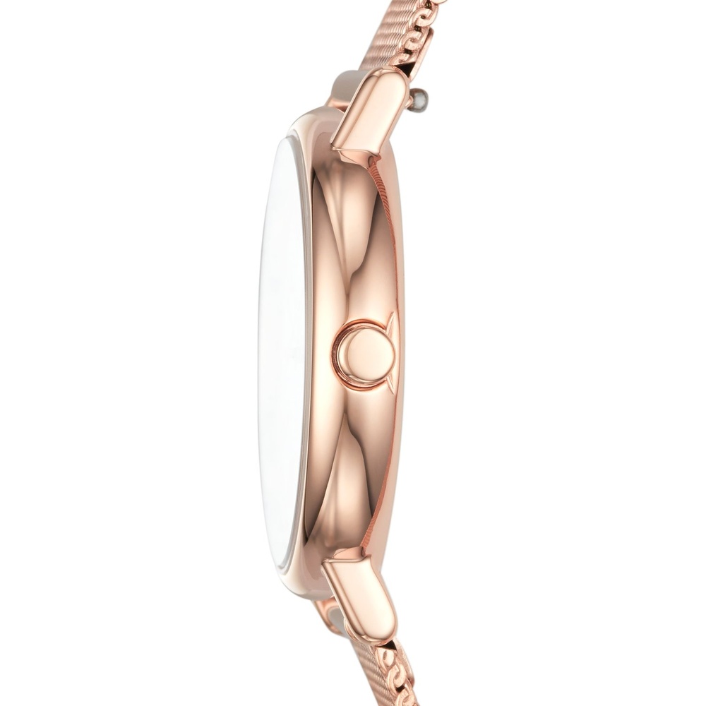 Skagen Montre pour femme Acier inoxydable Montre