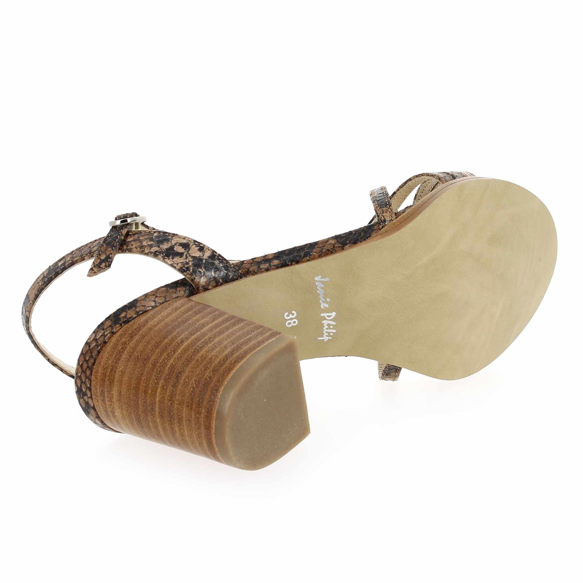Janie Philip  GAMA - Camel Python