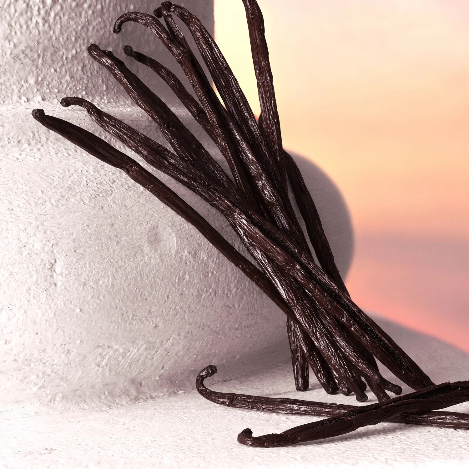 Devotion Eau de parfum Intense - Eau de Parfum