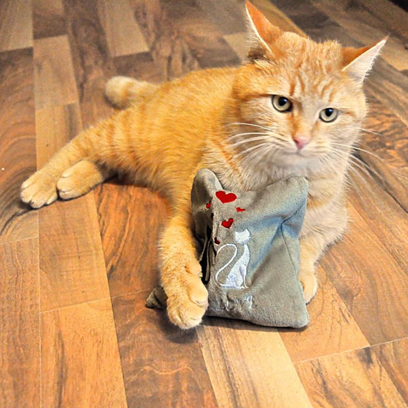 Aumüller Spielkissen True Love Mini zu TOP-Preisen