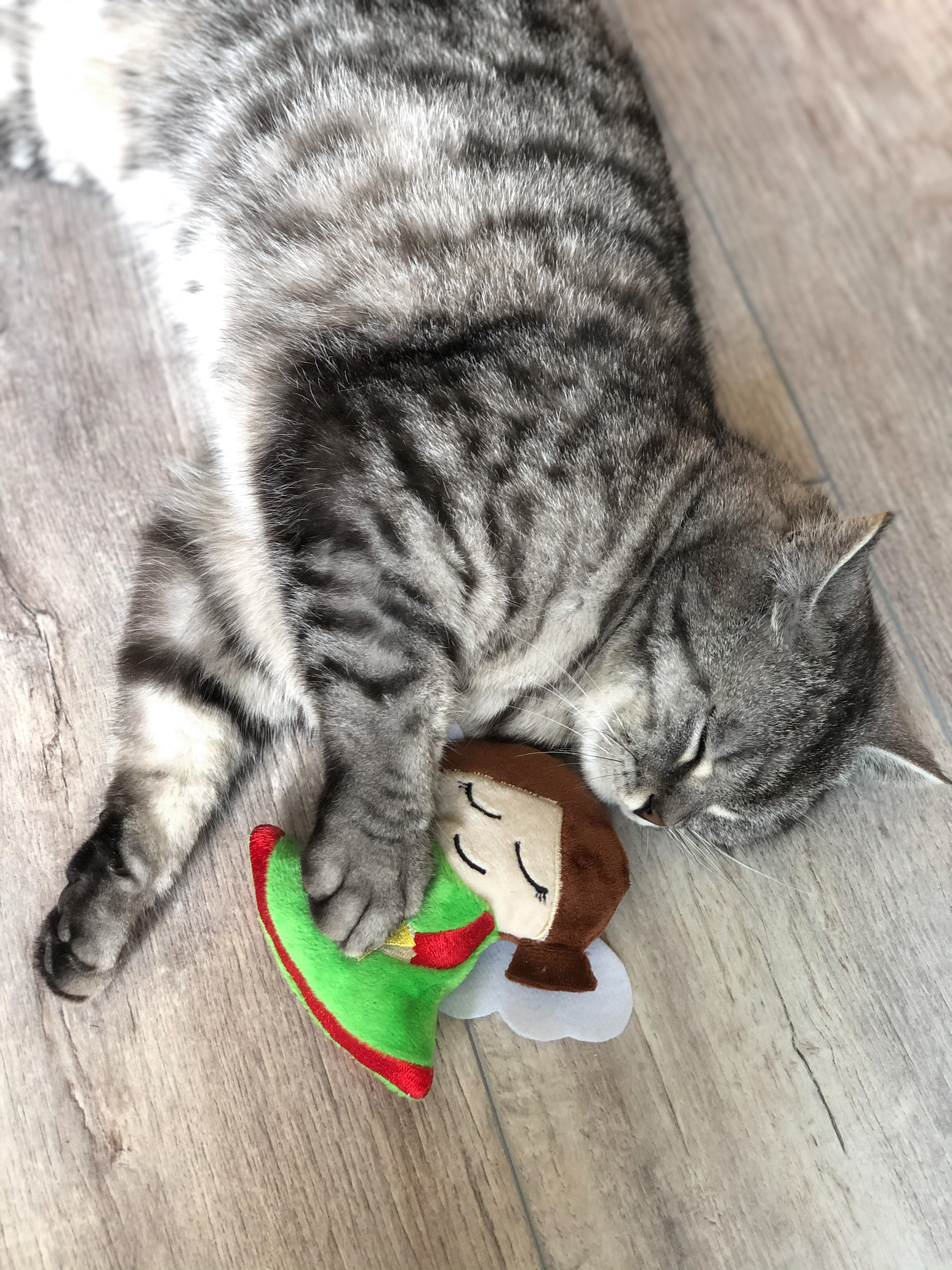 Aumüller Baldrian & Catnipspielzeug Aumüller Spielkissen Weihnachtsengel