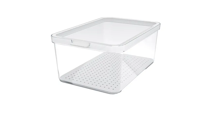rotho Kühlschrankorganizer Cauma 4,65l