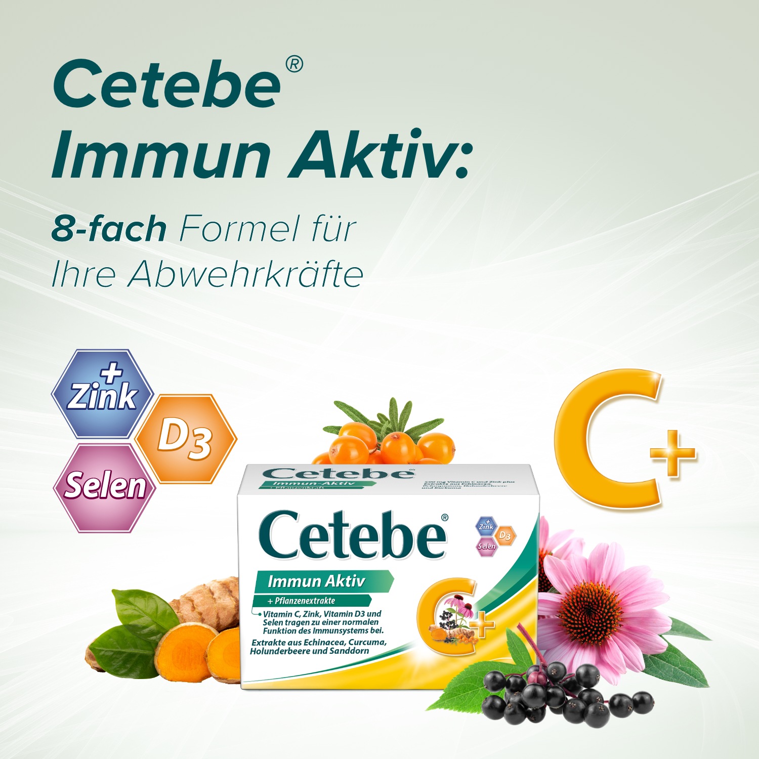 Immun Aktiv Tabletten