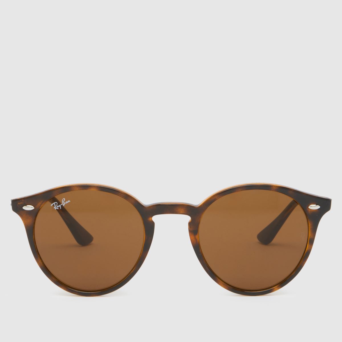 Ray-Ban bruna klassiska solglasögon för vardagsbruk