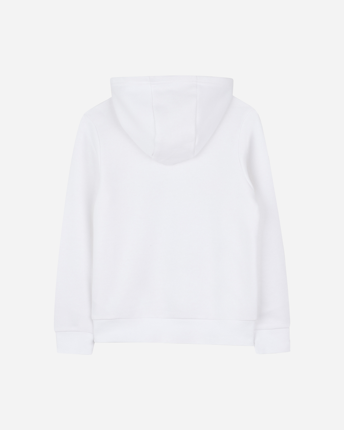 Felpa Timberland Tree Logo Jr T60383/10P