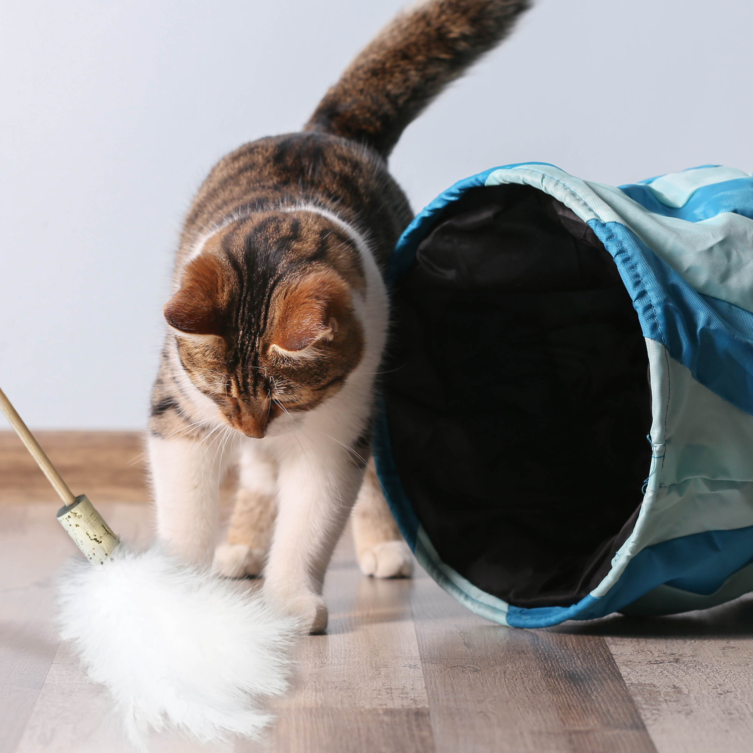 Kater Kasimir Katzenangeln Kater Kasimir handgemachter Premium Federwedel für Katzen mit echten Naturfedern