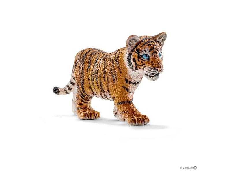 Bébé tigre du Bengale