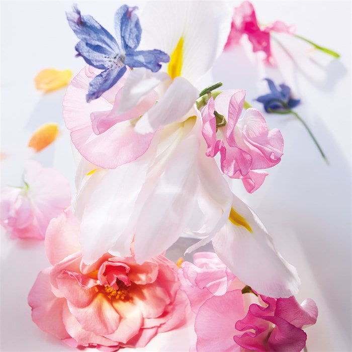 Eau de Parfum Spray