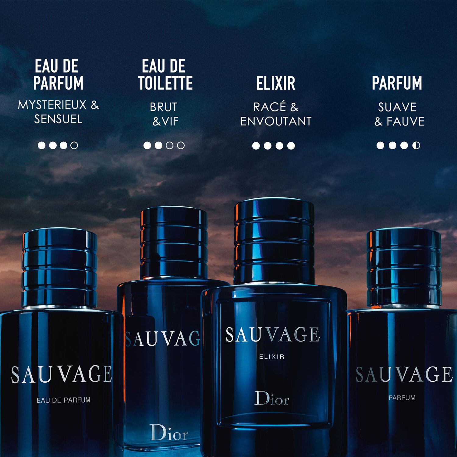 Dior Sauvage Elixir Parfum