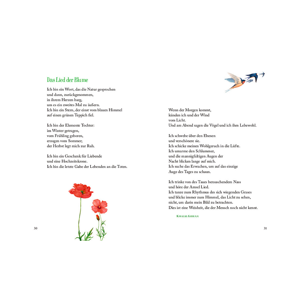 Wo Blumen blühen, da lächelt die Welt