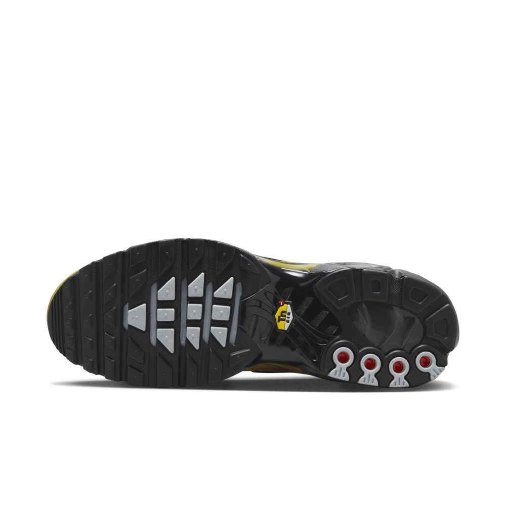 Nike Air Max Plus FB9722-700 / braun