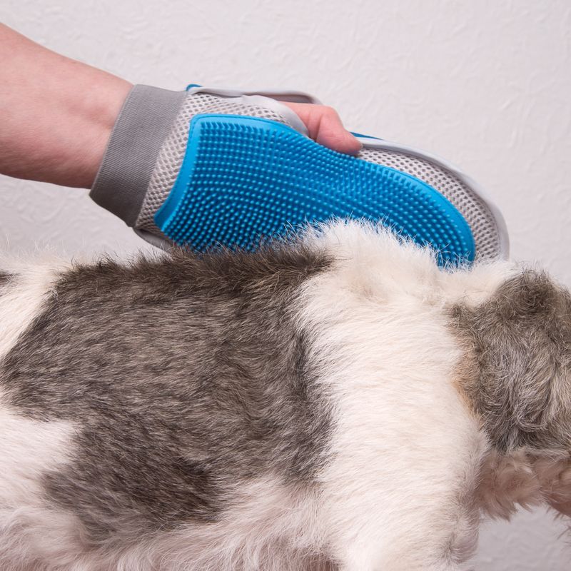 Doppelseitiger Pflegehandschuh zu TOP-Preisen
