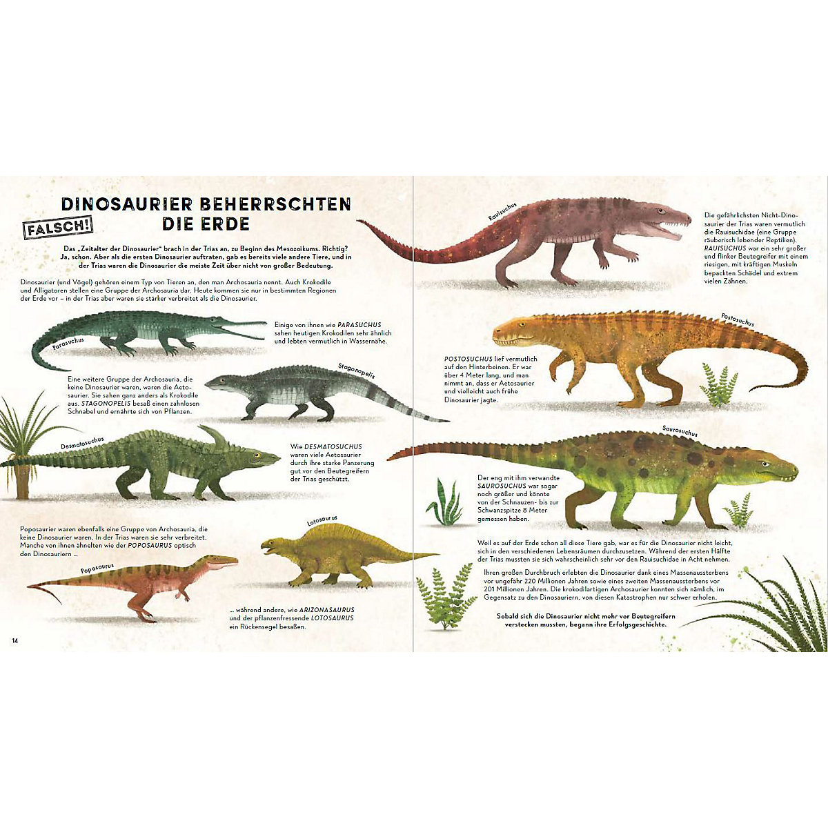 Alles, was wir über Dinosaurier wissen, ist falsch!