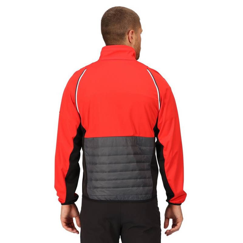 Regatta Steren Funktionsjacke Herren
