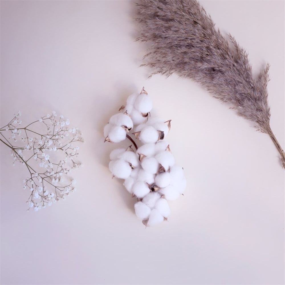 Scentorie Diffuser Cosy Blanket Parfum d'ambiance
