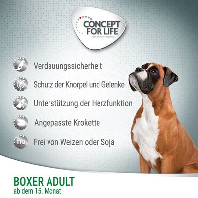Concept for Life Boxer Adult