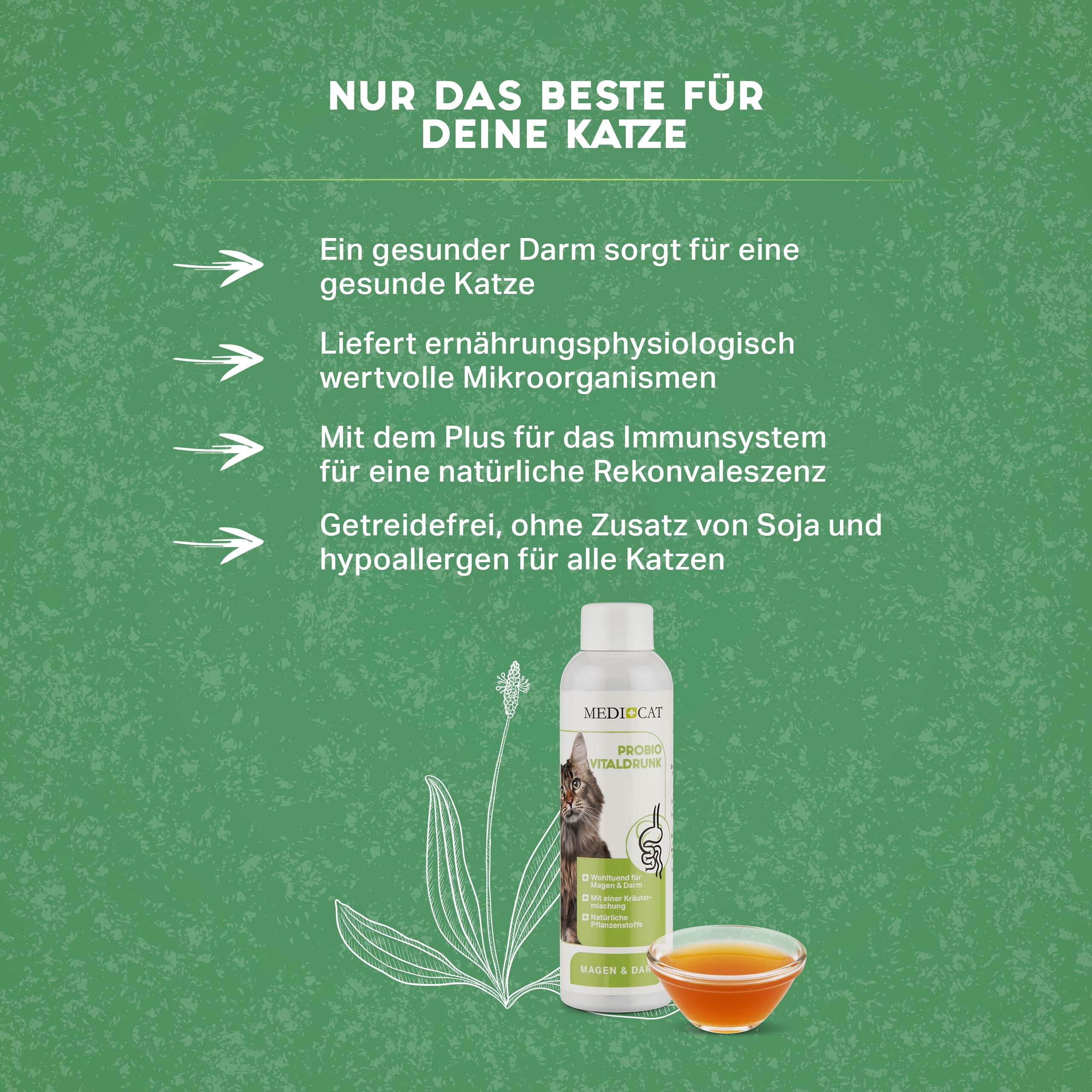 MediCat Ergänzungsfutter & Aufzucht MediCat Probio Vitaldrunk