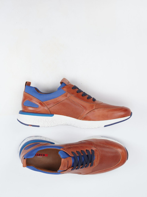 Sneaker-46612890164 Lloyd