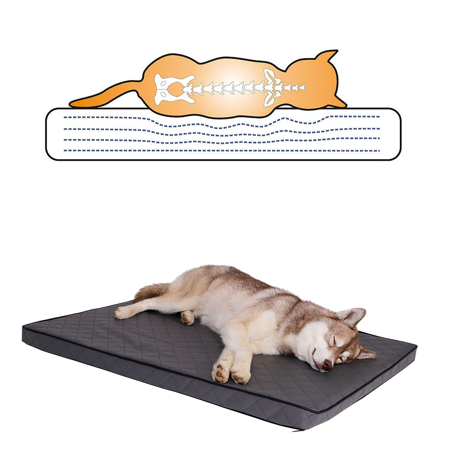 Lionto Hundebetten Lionto Orthopädische Hundematte S