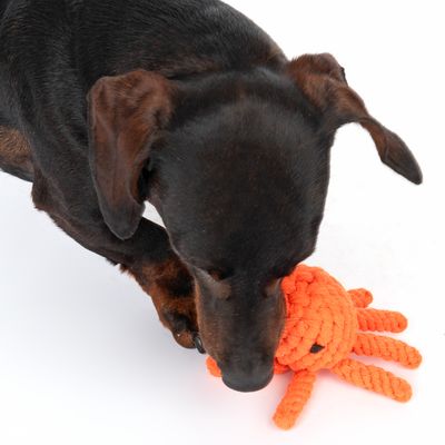 TIAKI Hundespielzeug Oktopus