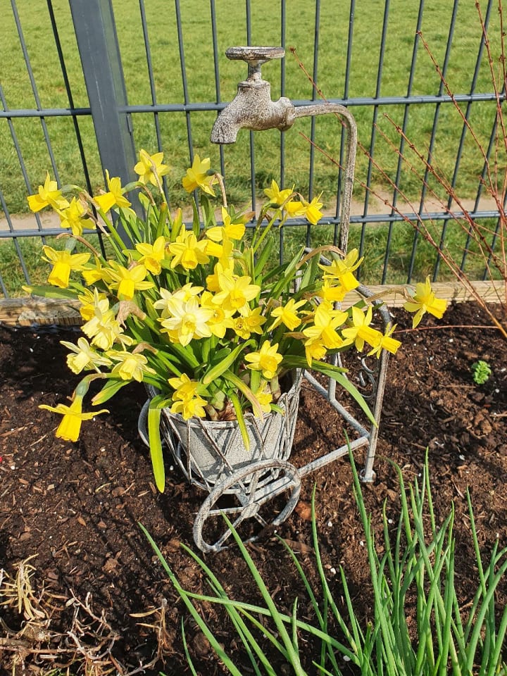 Ambiente Haus Blumenständer mit Wasserhahn in antikgrau günstig kaufen onesize