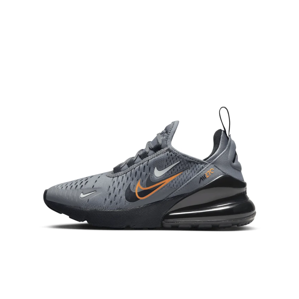 Nike Air Max 270 FN7786-001 / grau
