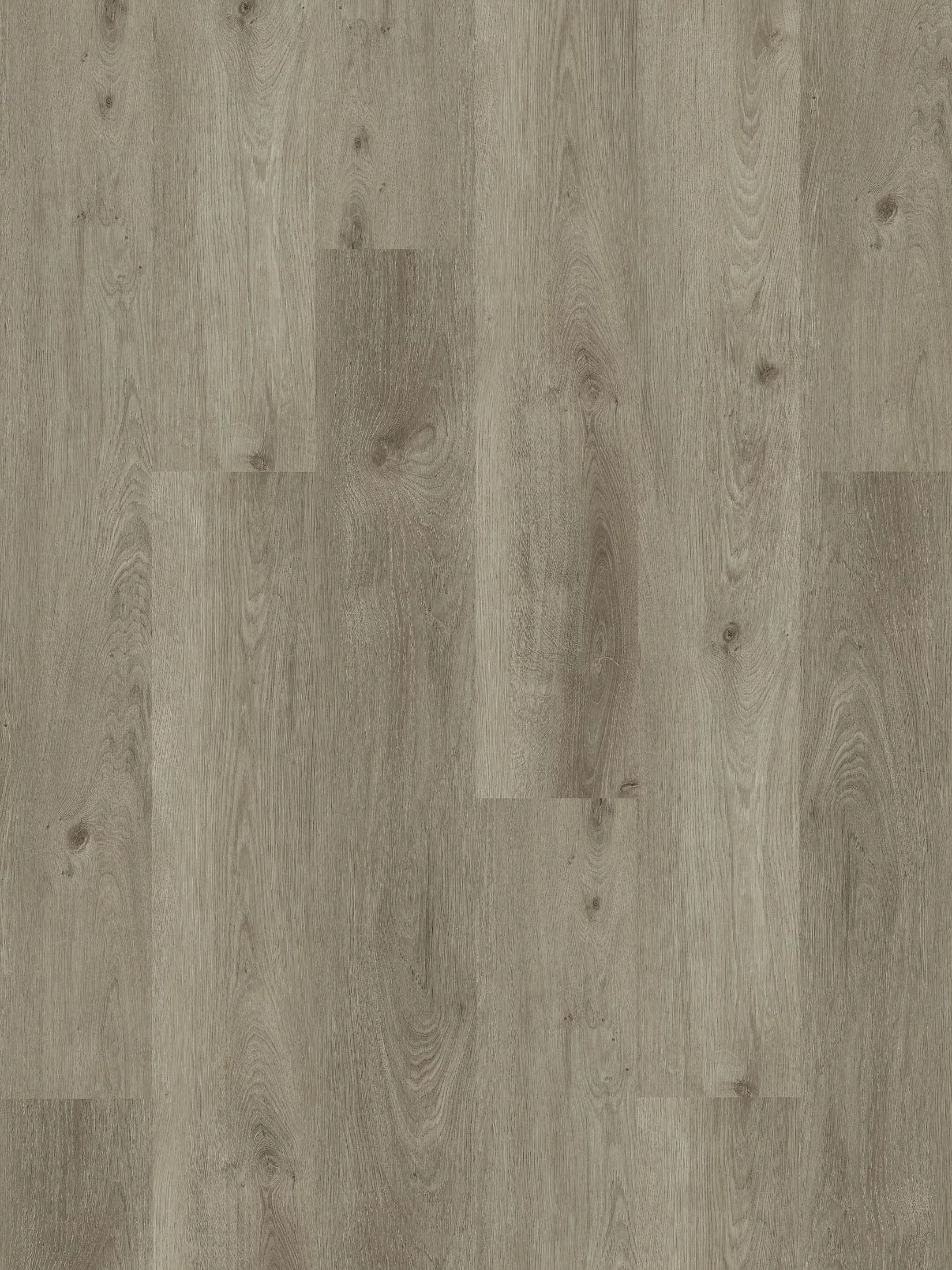Whisper Wood Vinylboden, Elegance Pine 10553