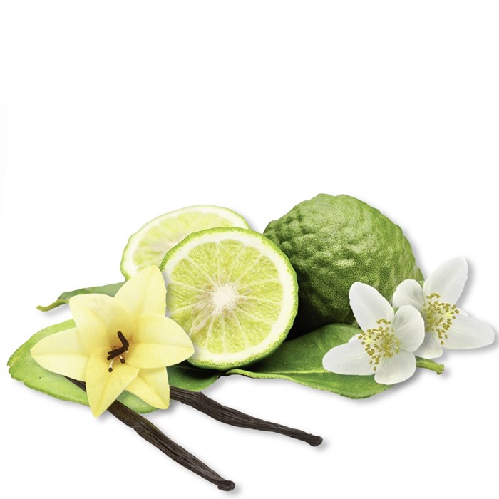 Root Activating Serum