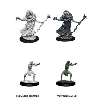 D&D Nolzur's Marvelous Miniatures - Sea Hag & Bheur Hag