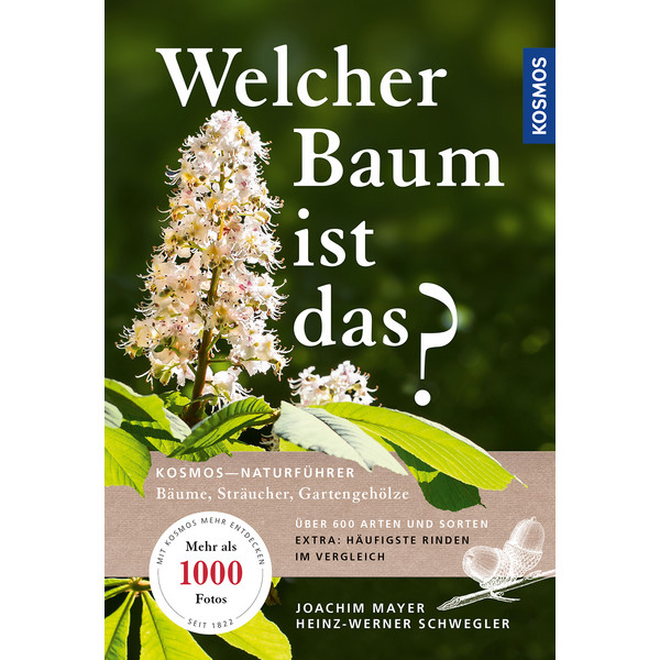 WELCHER BAUM IST DAS? - Ratgeber