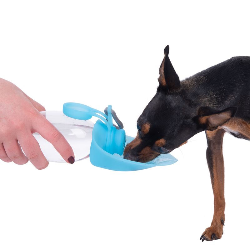Smartpet Trinkflasche für unterwegs zu TOP-Preisen % bei bitiba.de