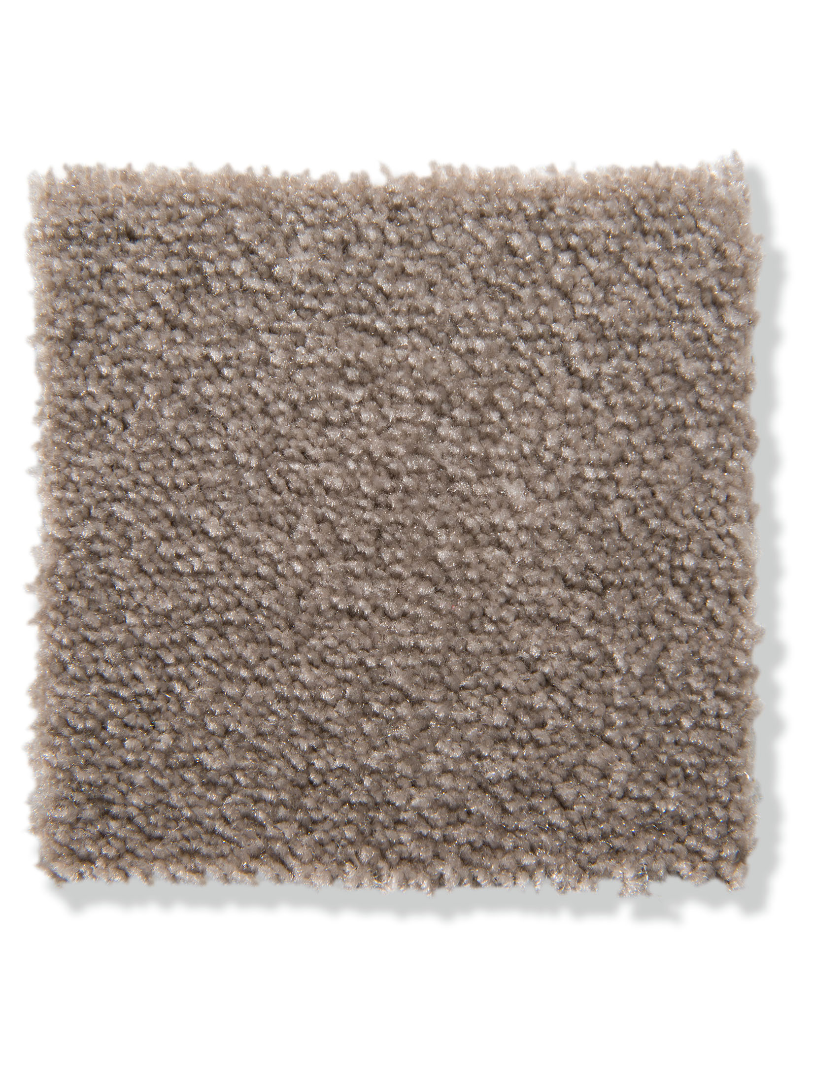 Emotion Velours-Teppichboden, Taupe 49