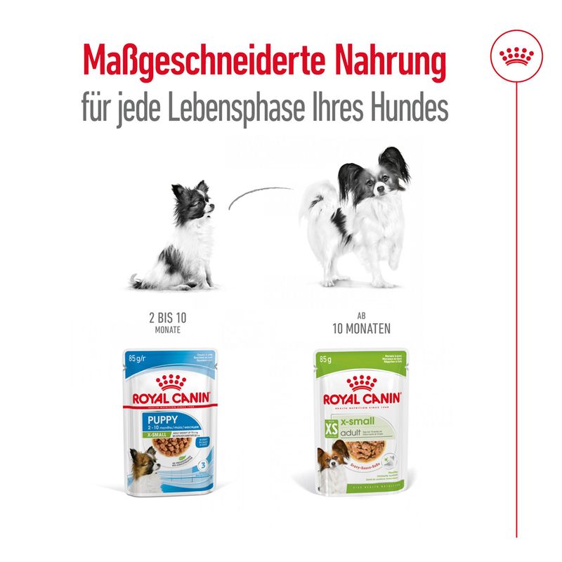 Royal Canin X-Small Adult in Soße