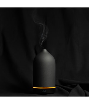 volant Black Volant Aroma Diffusor-100 ml