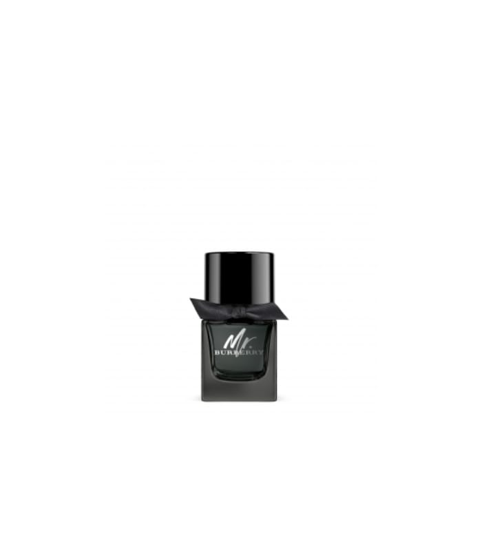 MR. BURBERRY-Eau de Parfum Vaporisateur