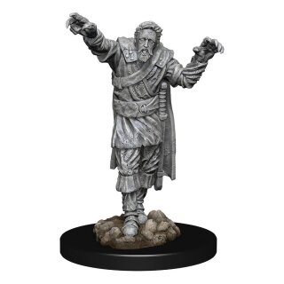 D&D Nolzur's Marvelous Miniatures - Scarecrow & Stone Cursed