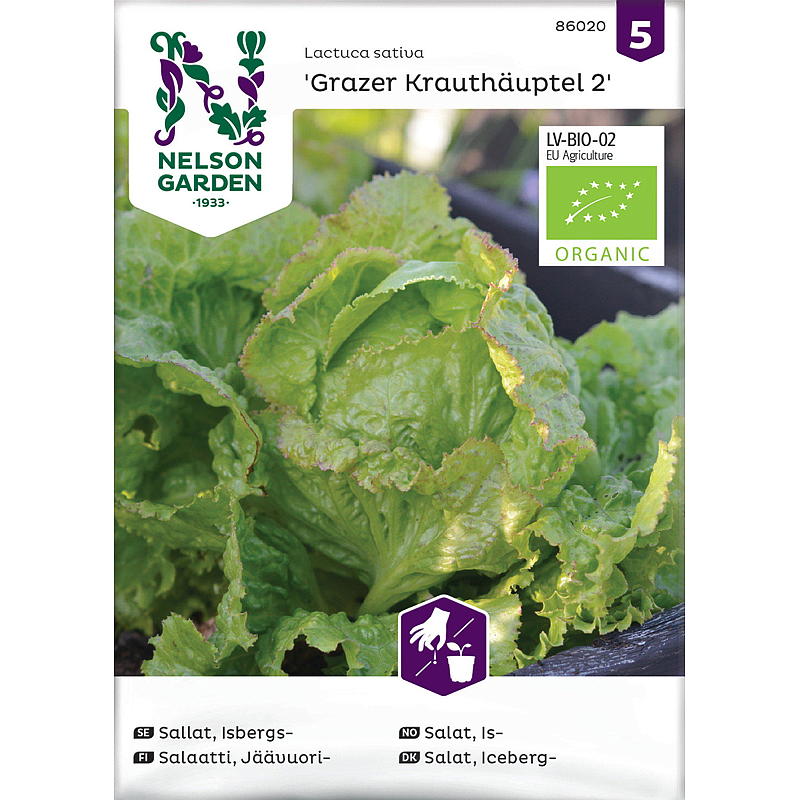 Nelson garden Frø Salat Is-, Grazer Krauthäuptel, org.