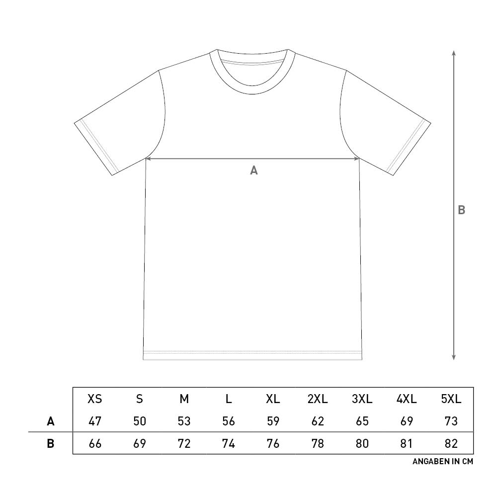 Herren T-Shirt DYNAMO DRESDEN Casual