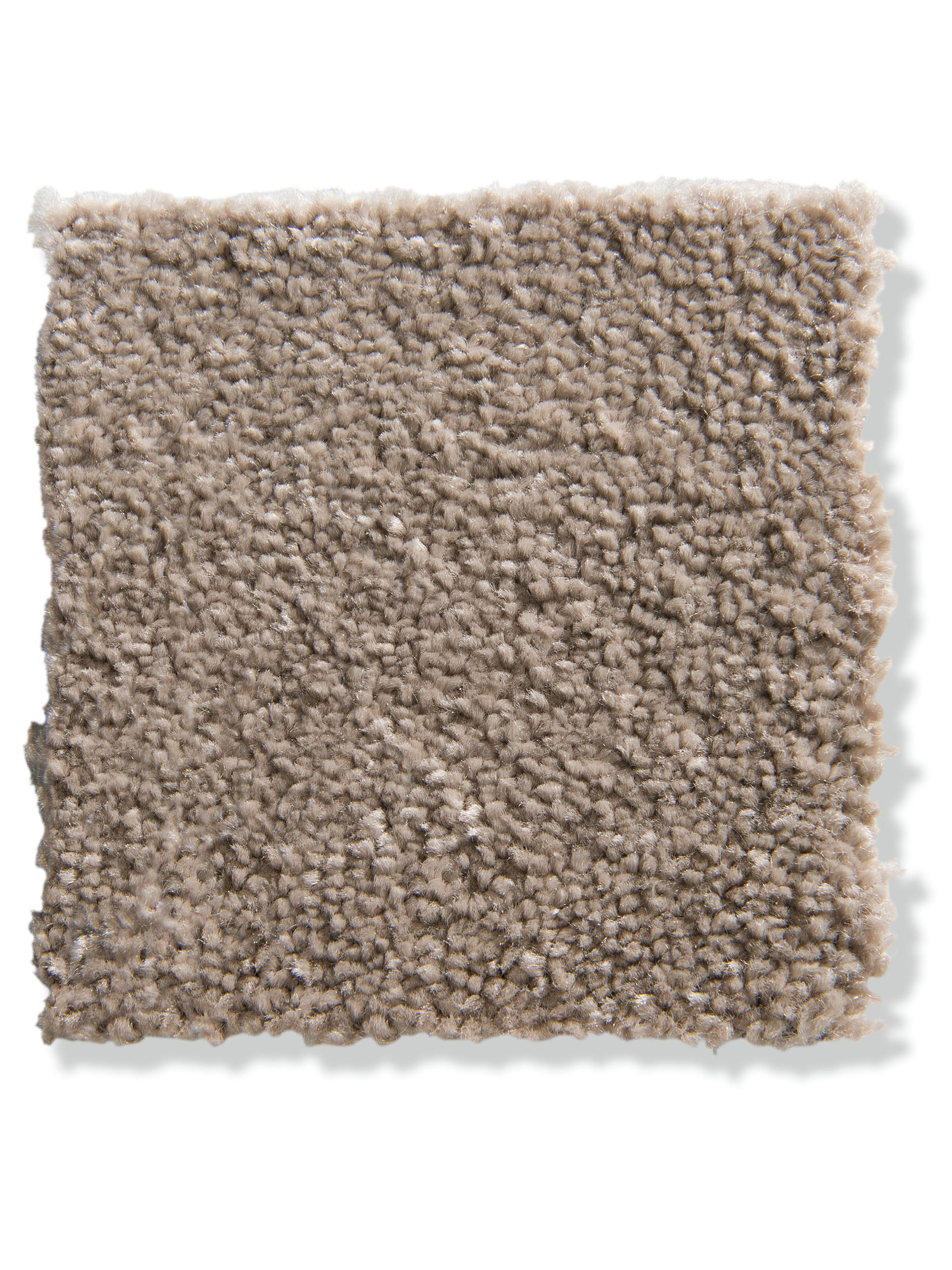 Exclusiv Teppichbodenfliese, Taupe