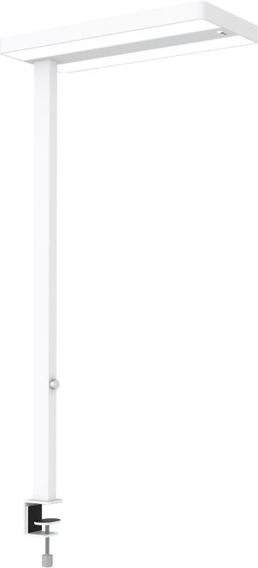 Maul MAULjuvis Klemmbar Stehlampe LED (sensor, dimmbar) Weiß Steckdose 280 x 610 x 1.200 mm