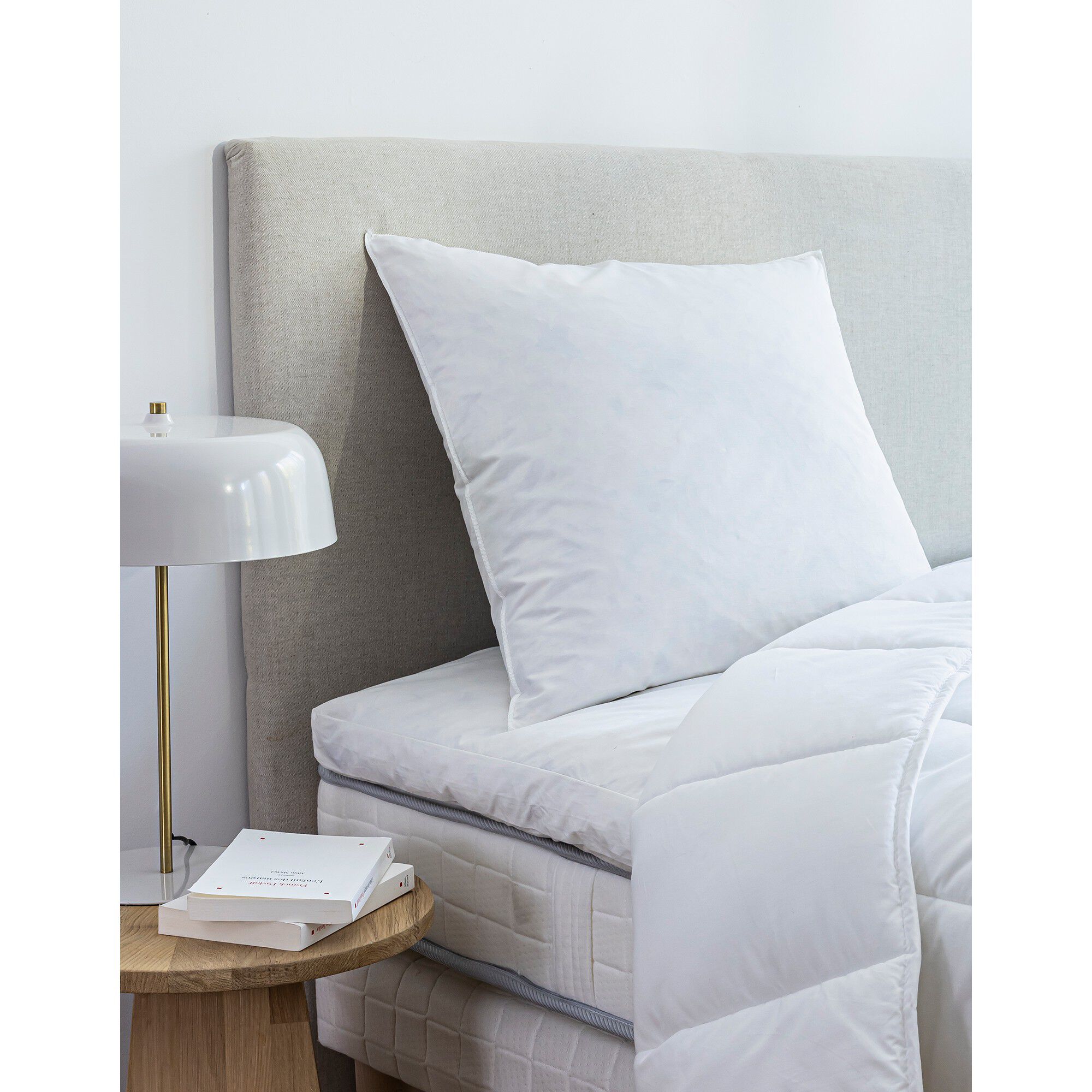 Oreiller plumes en lot de 2