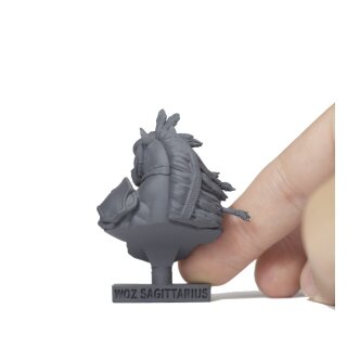 Sagittarius Bust