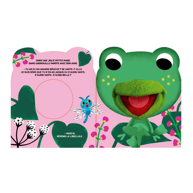 Livre La grenouille à grande bouche - Casterman