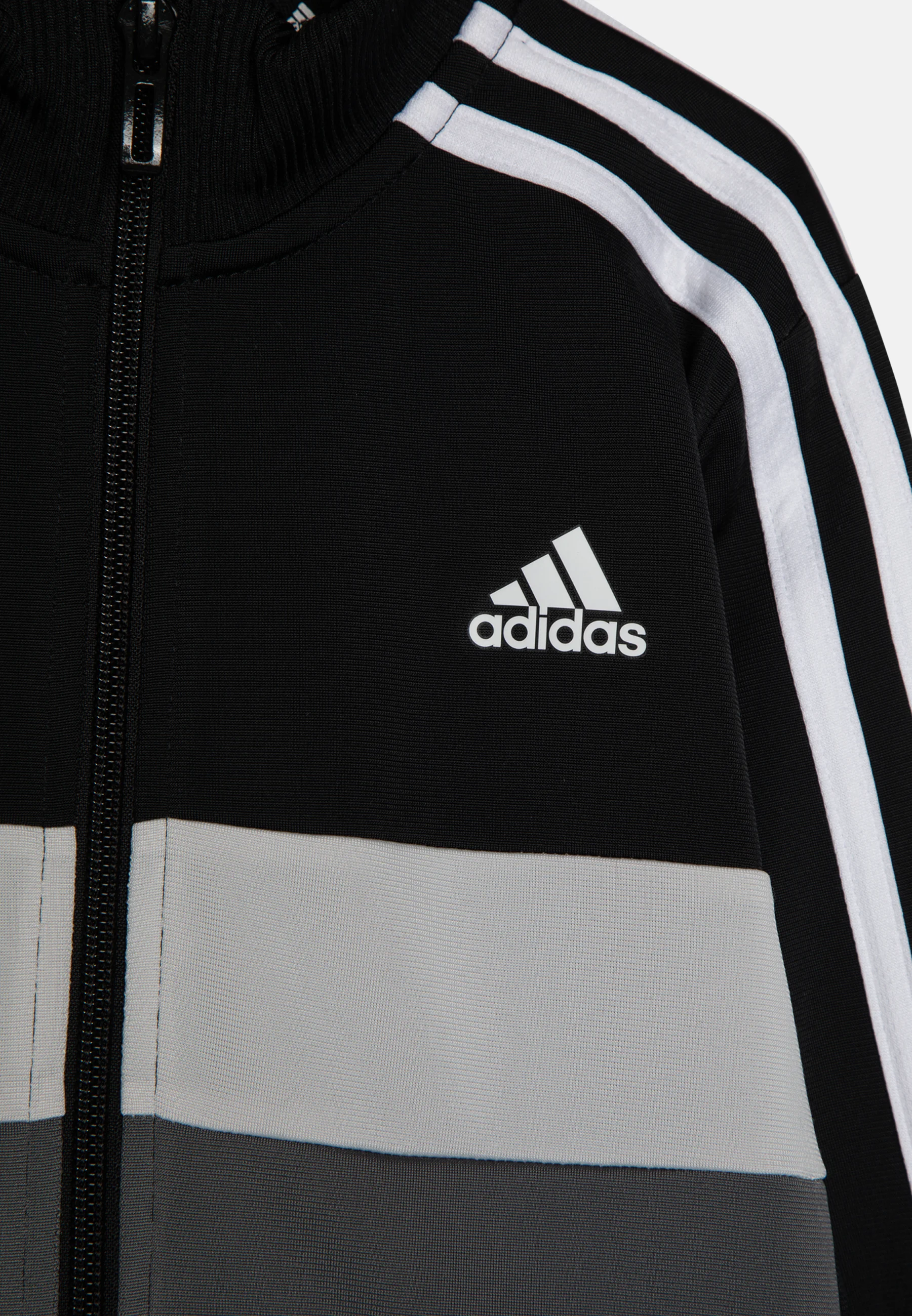 adidas Performance ESSENTIALS 3-STRIPES TIBERIO - Chándal