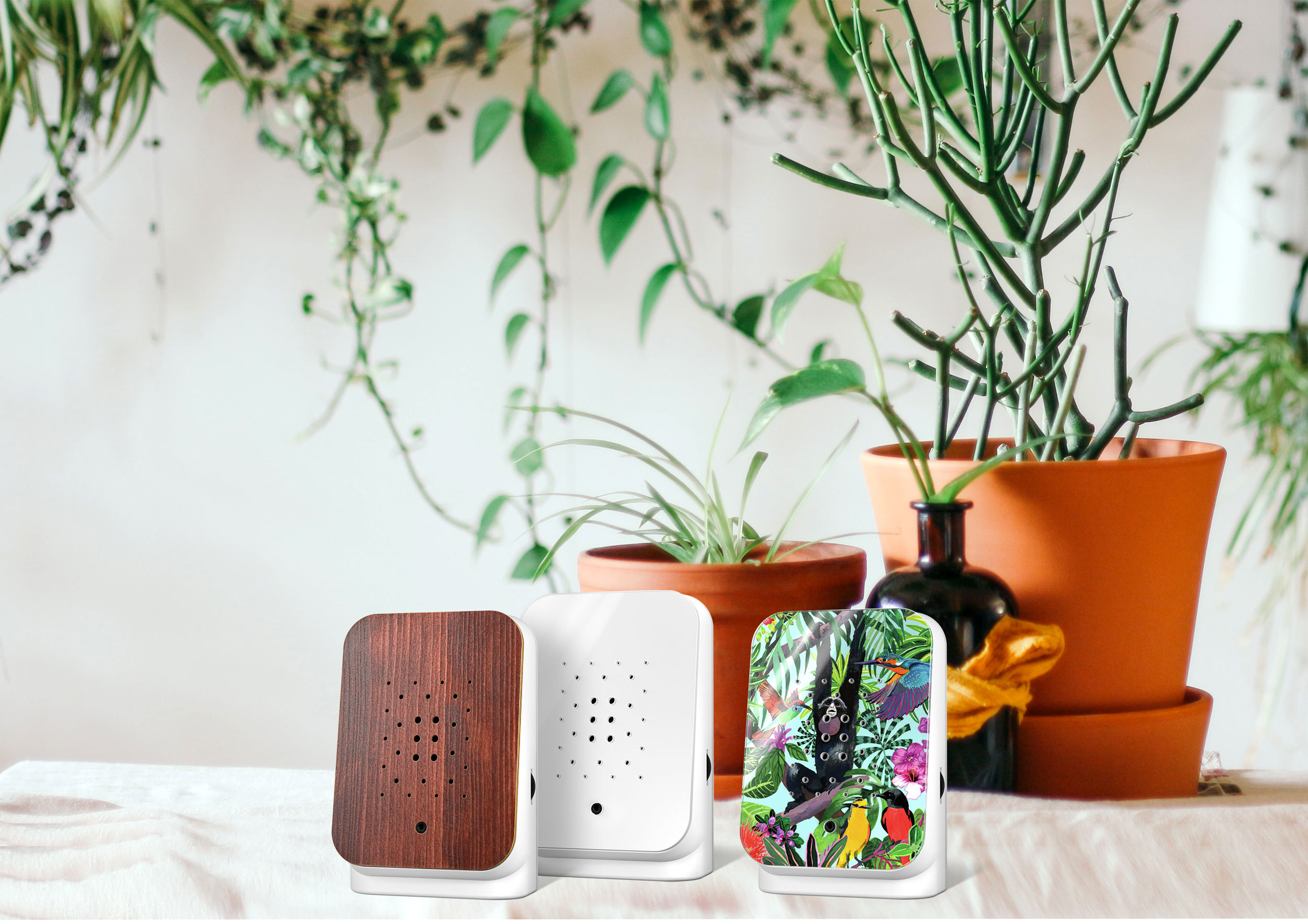 RelaxoundJunglebox Design
