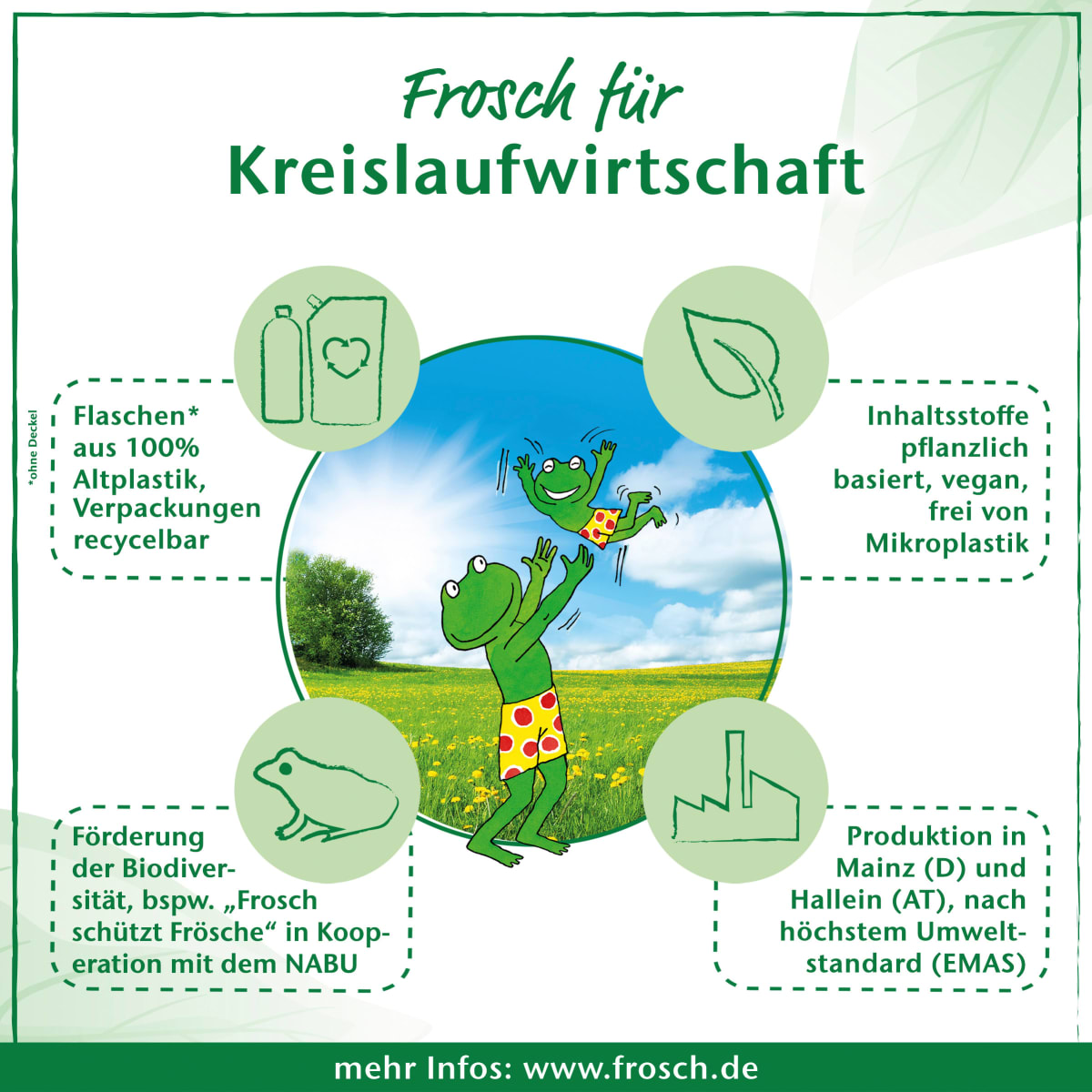 Spülmittel Limonenfrische, 750 ml