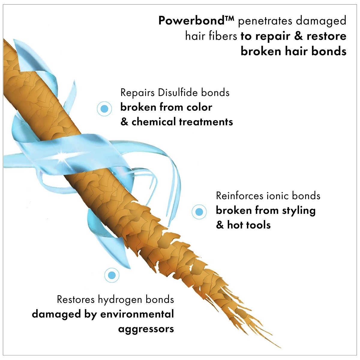 Super Strength Protein Power Bond Mist